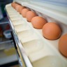 Craving Eggs